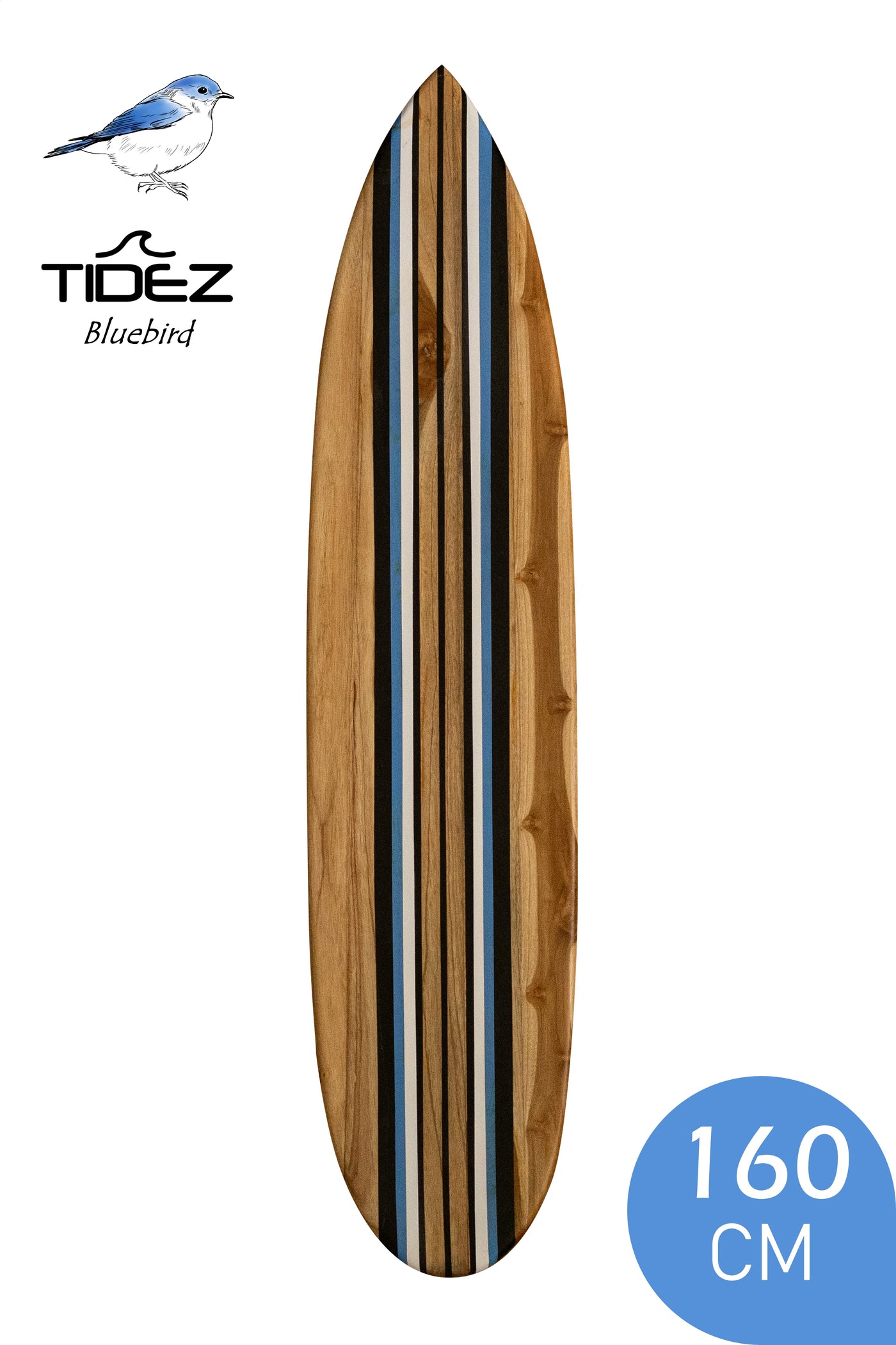 Tidez Bluebird 160cm
