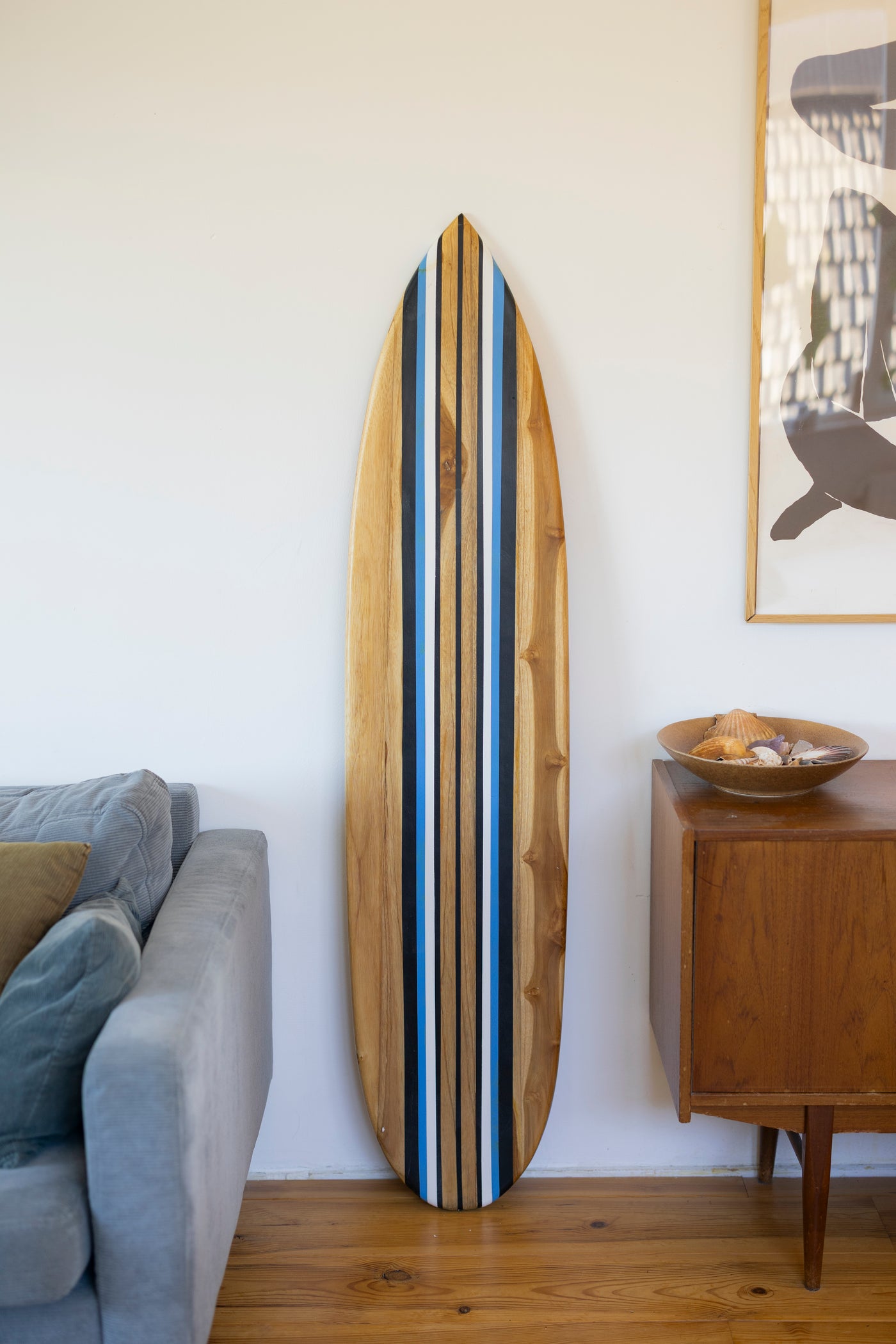 Tidez Bluebird 160cm