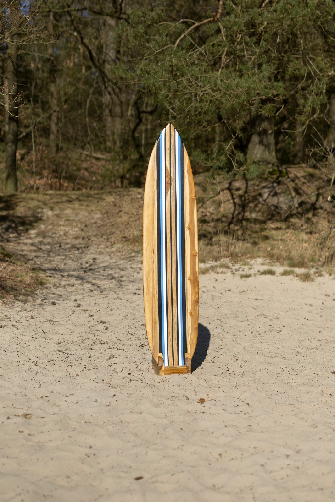Tidez Bluebird 160cm